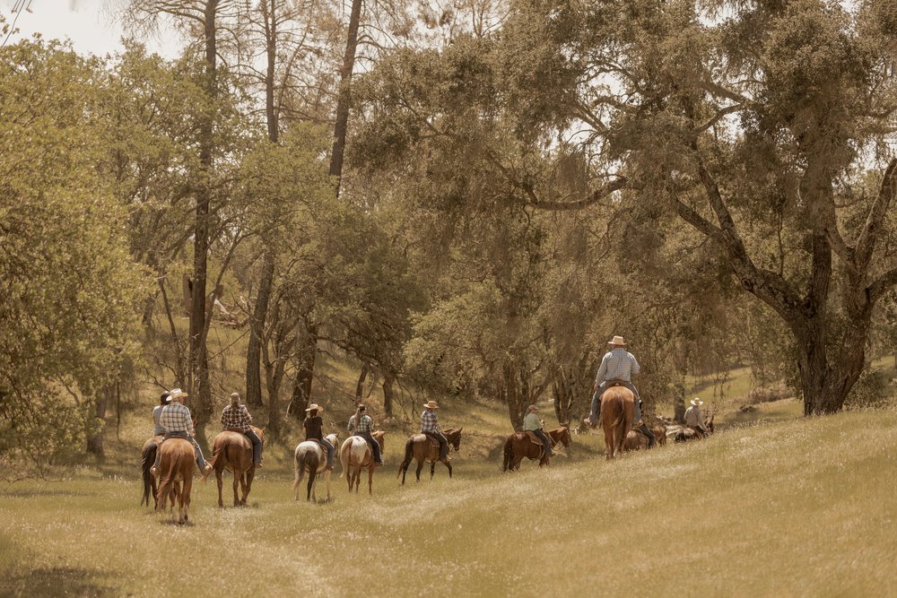 horseback trail paso robles
