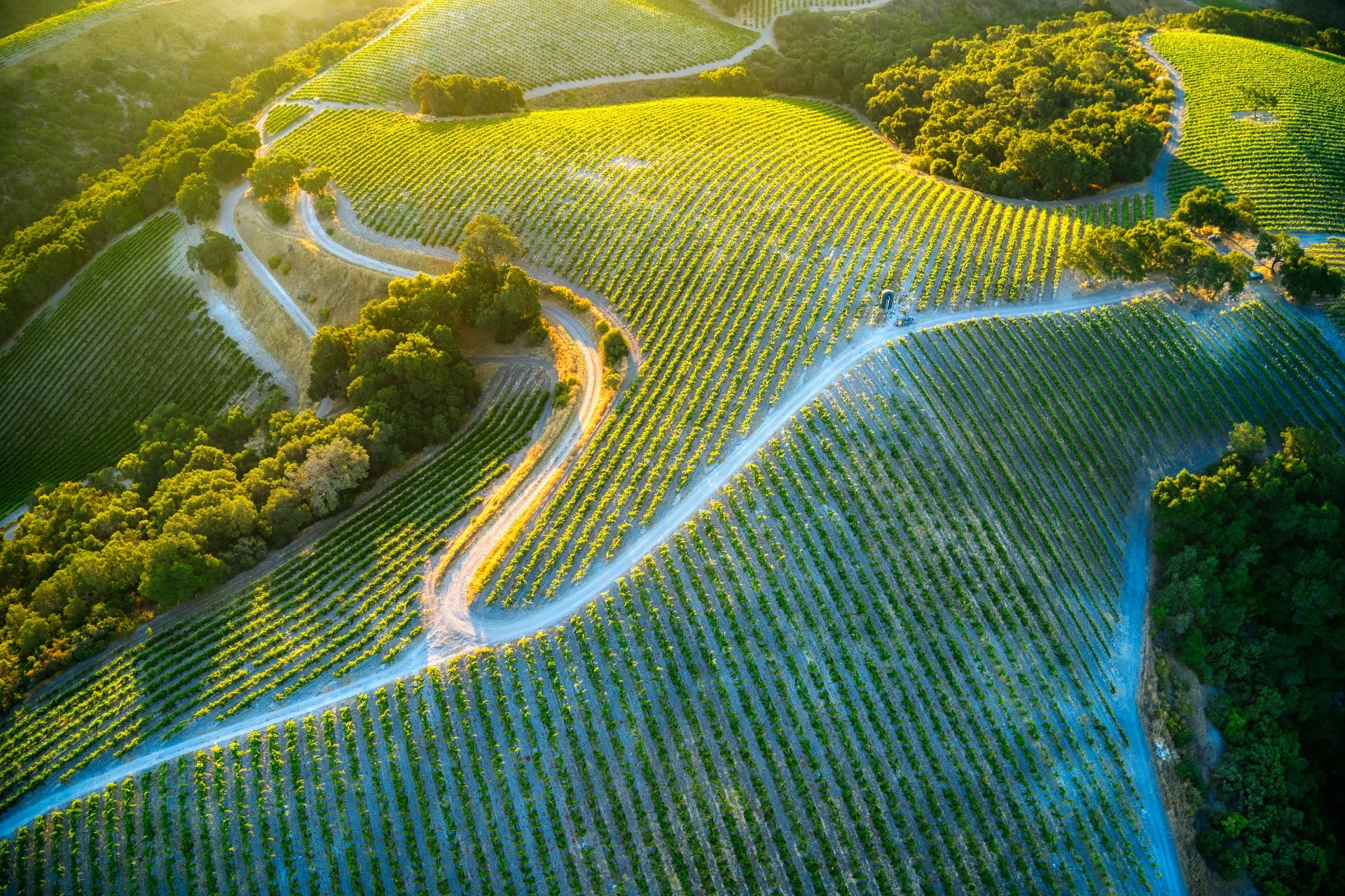 winery in paso robles