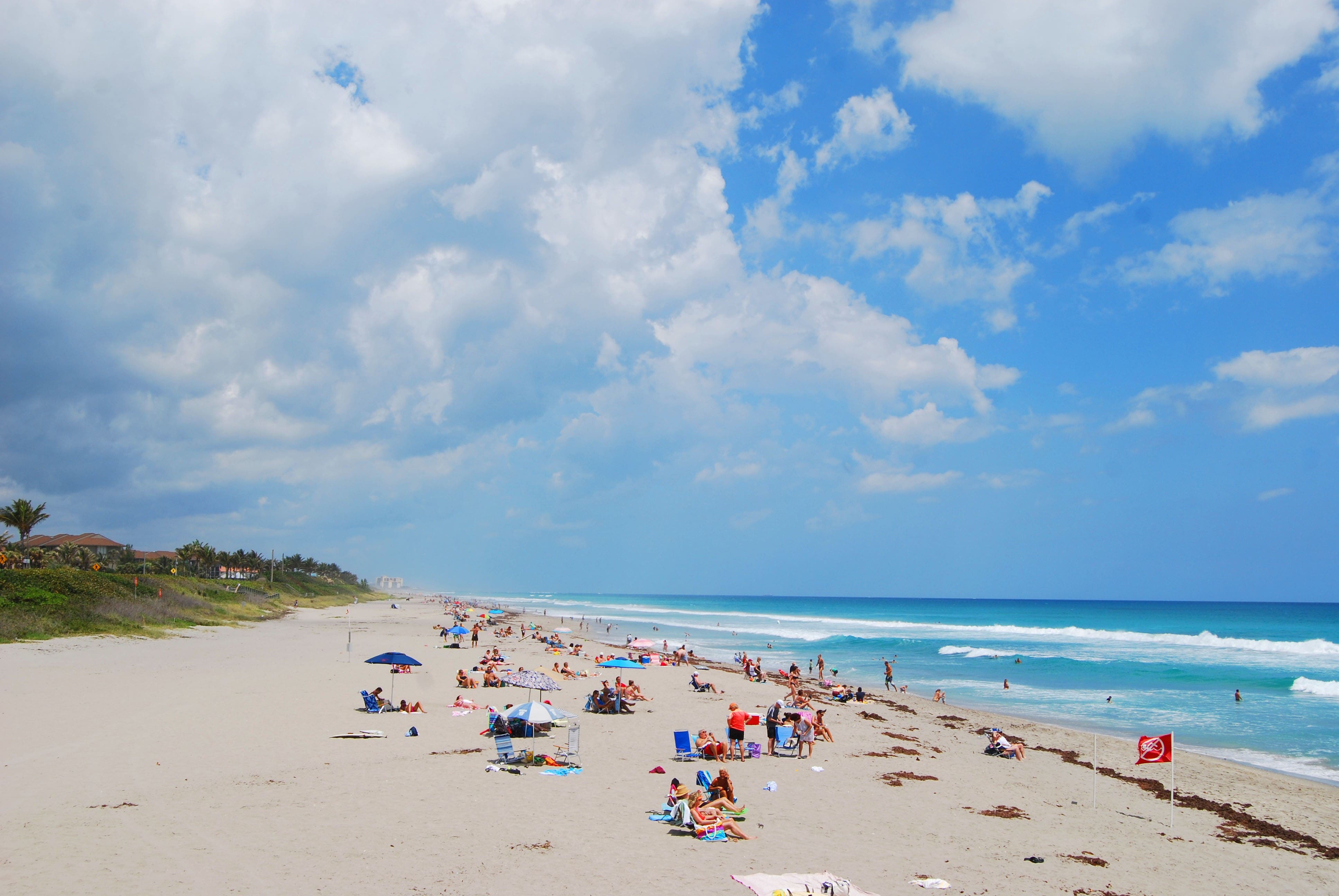 Loggerhead Park beach 