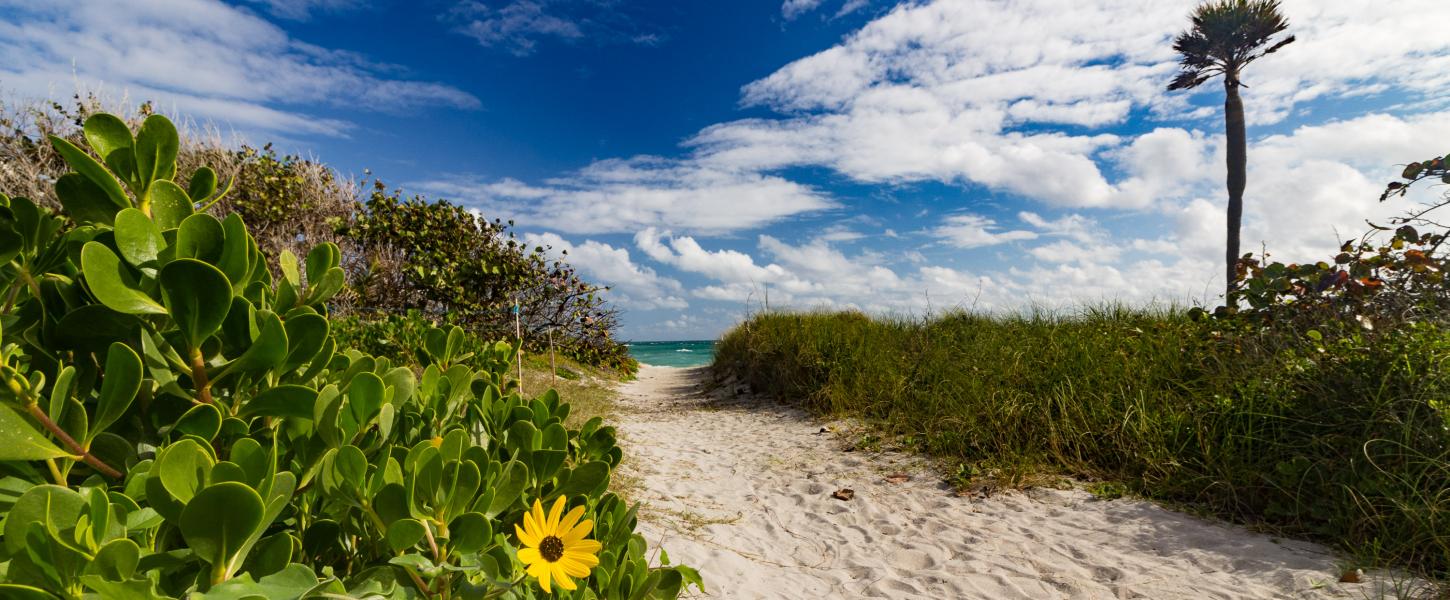 Dr von D Mizell-Eula Johnson State Park or Neighborhood Beach in Fort Lauderdale
