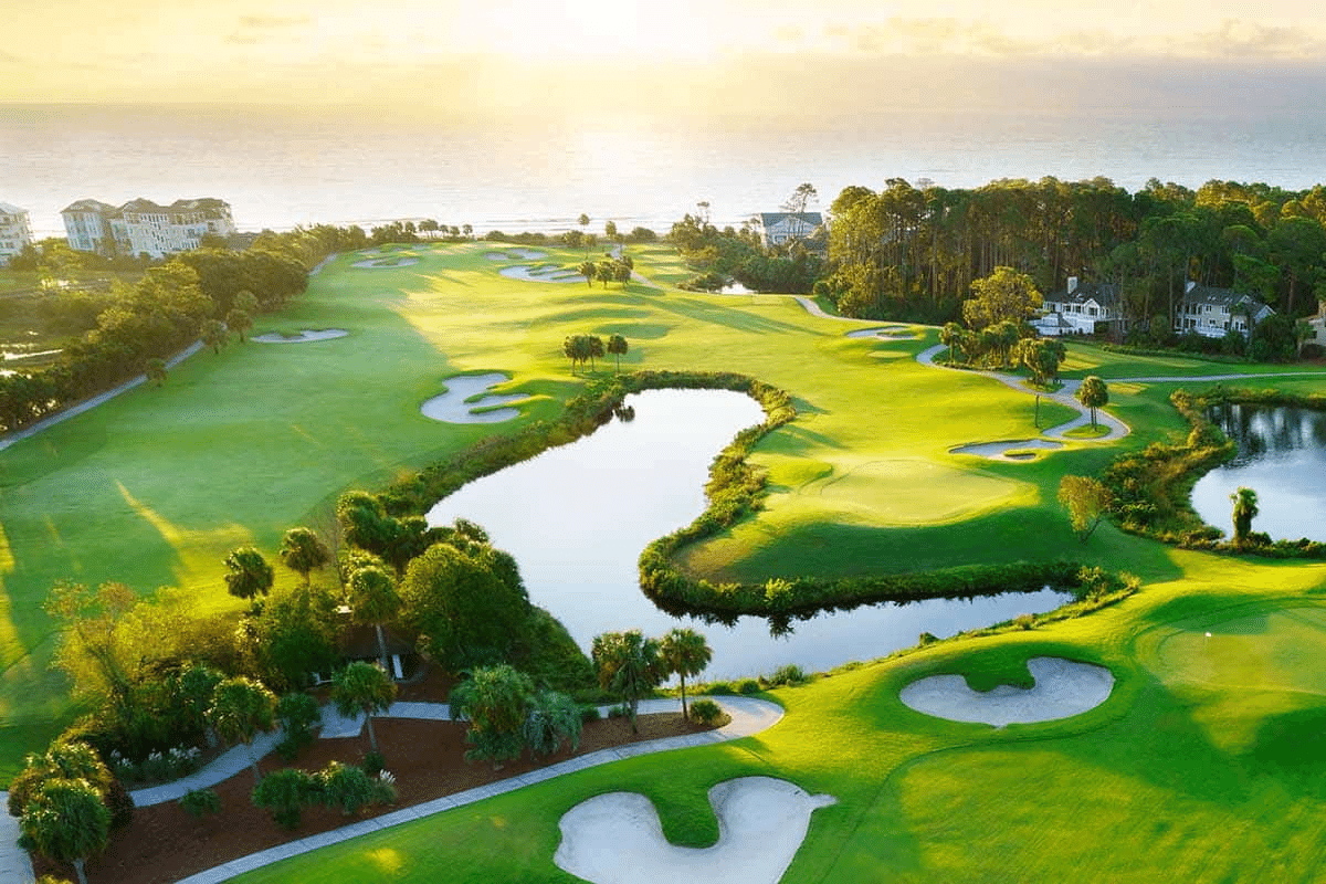 overview of Palmetto Dunes