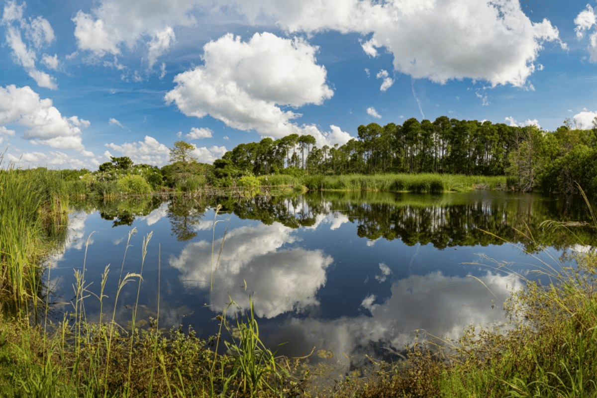 Pinckney Island National Wildlife Refuge in Hilton Head