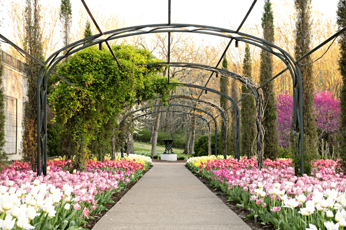 Cheekwood Estate and Gardens botanical garden in Nashville
