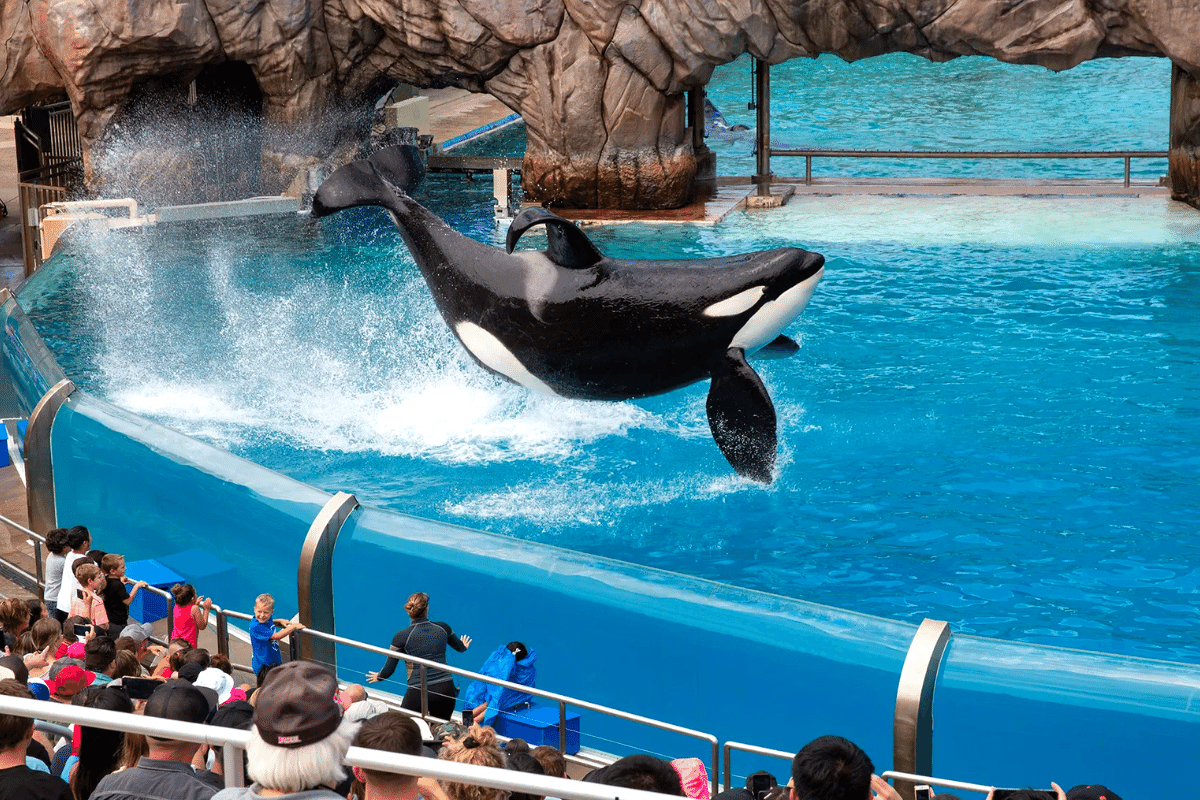 SeaWorld San Diego