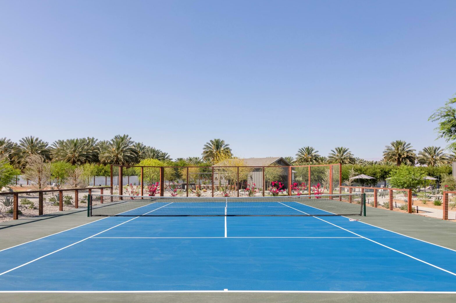 A wide shot of a blue tennis court with palm trees in the background