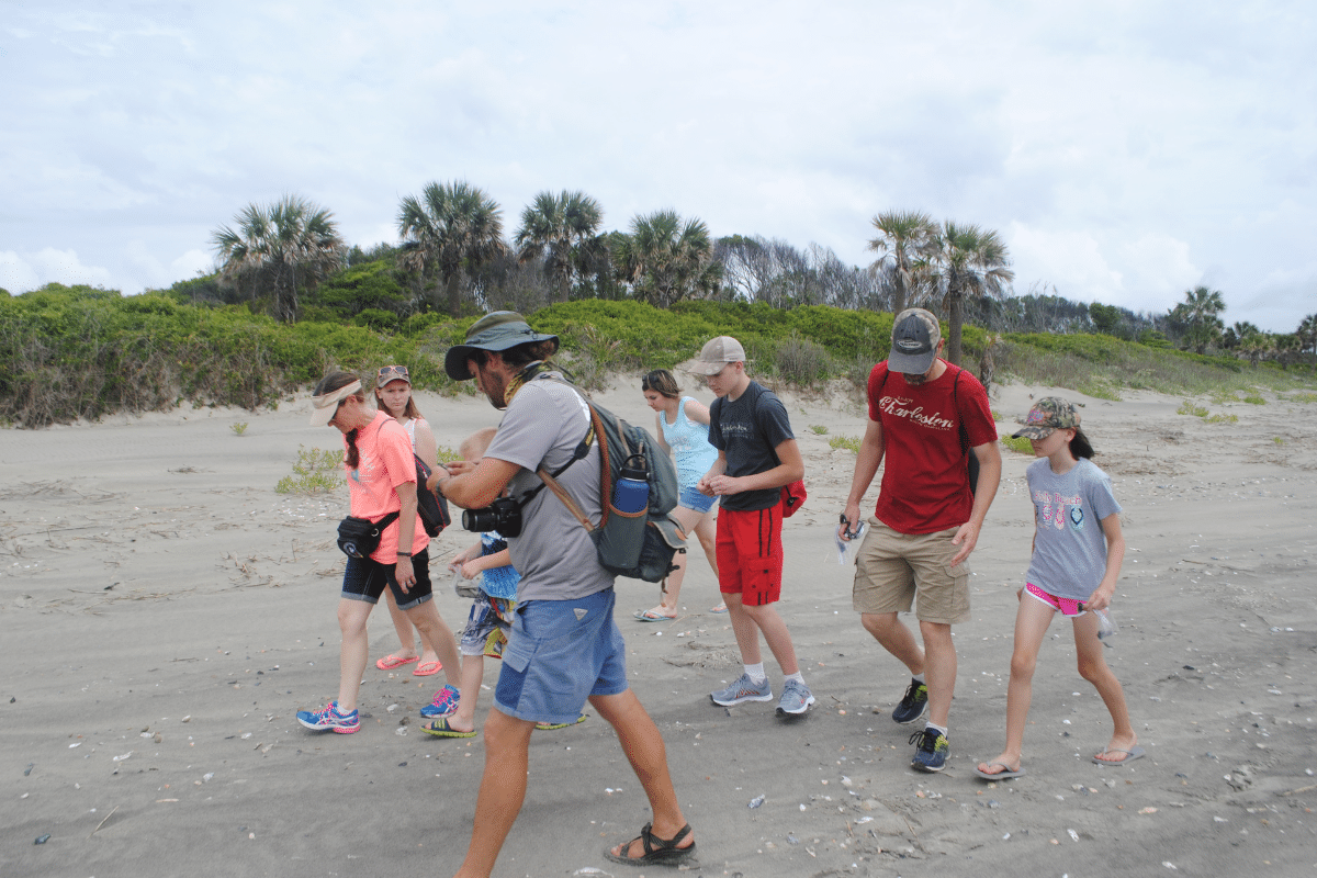 Charleston fossil adventures tours
