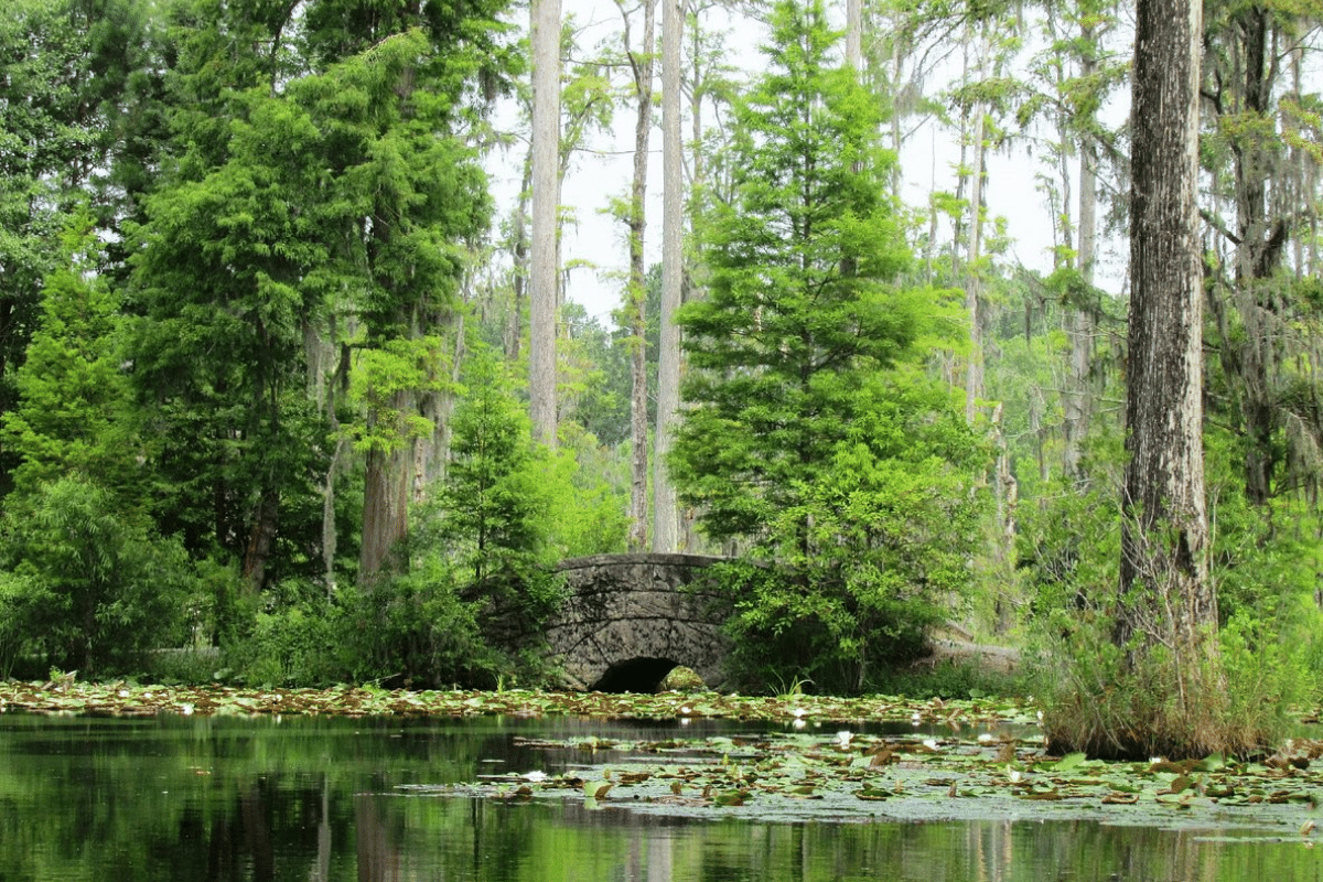 Cypress Gardens in Charleston