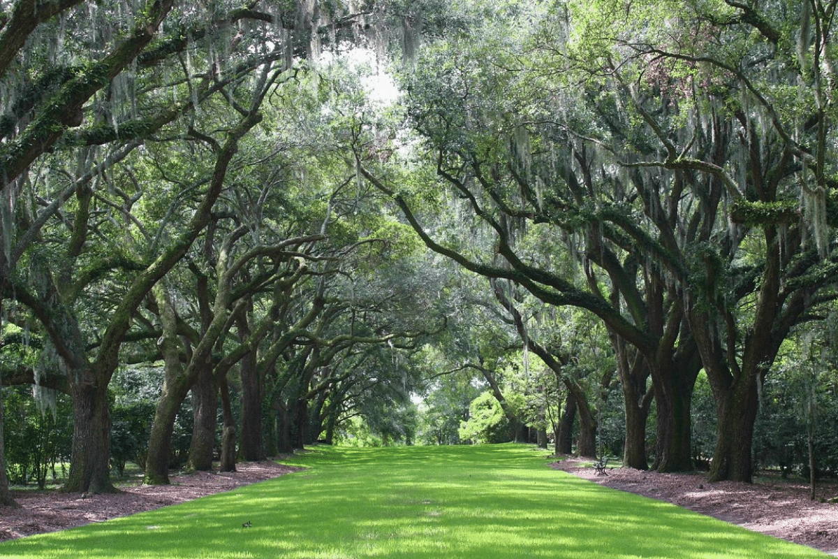 Charles Towne Landing State Historic site in Charleston