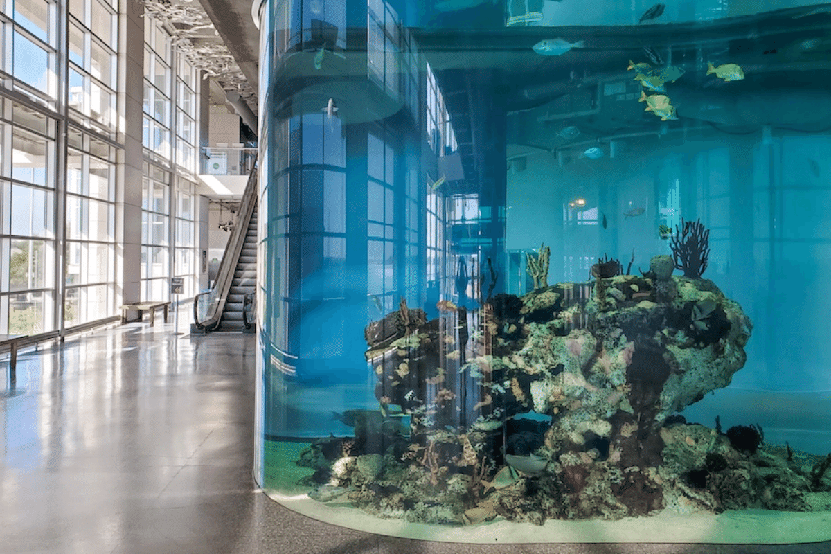 South Carolina Aquarium in Charleston