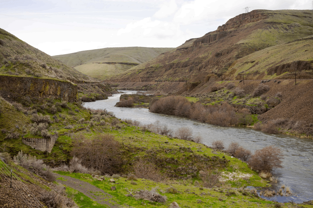 surfing in deschutes river