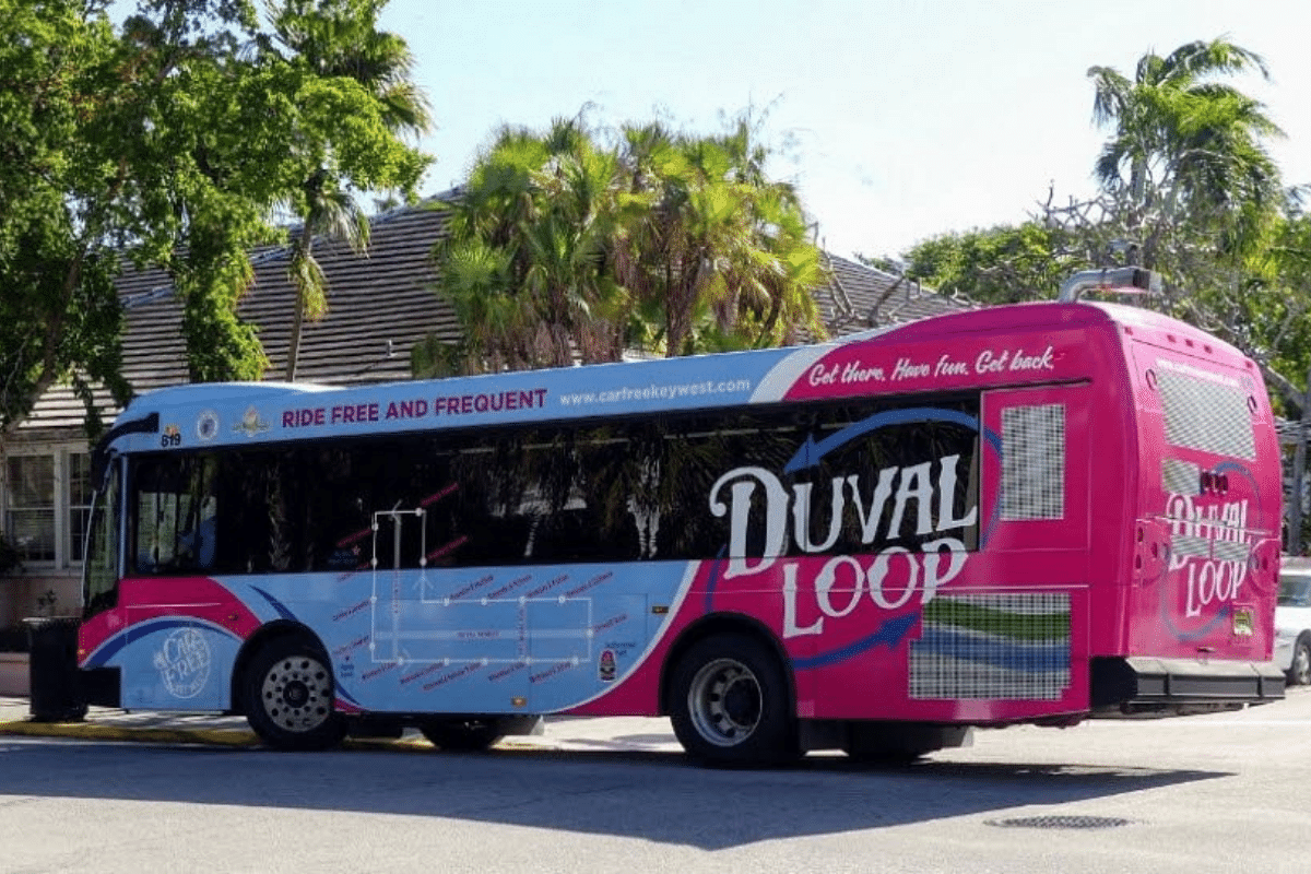 duval loop bus