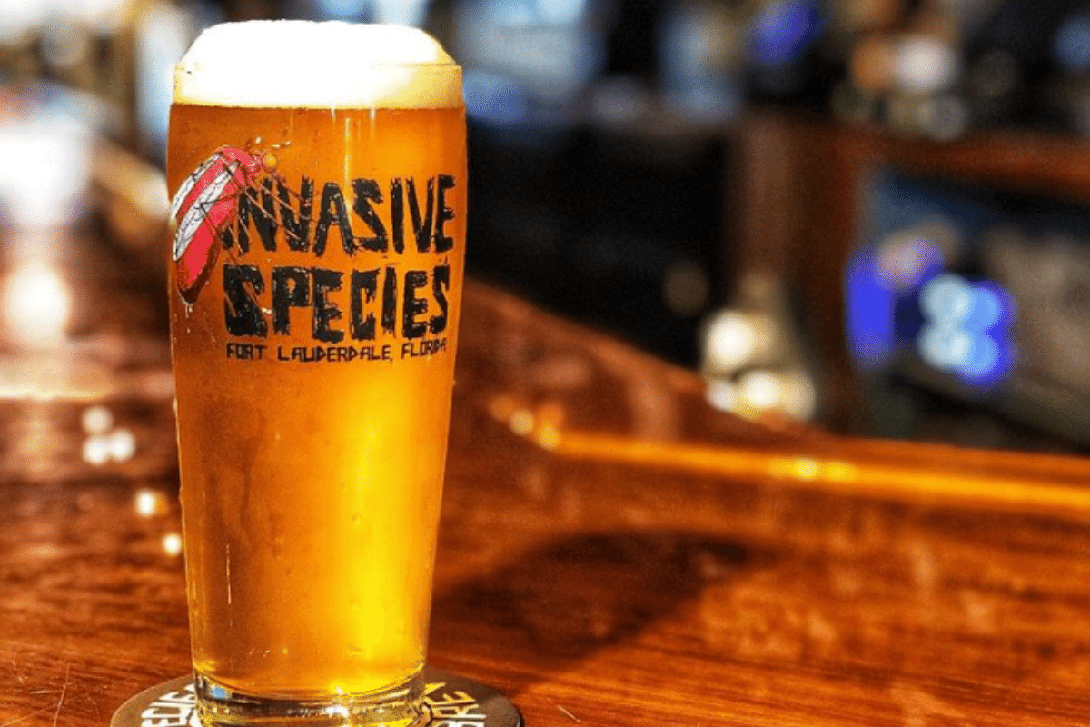 drinking a beer at Invasive Species is a popular Fort Lauderdale thing to do 