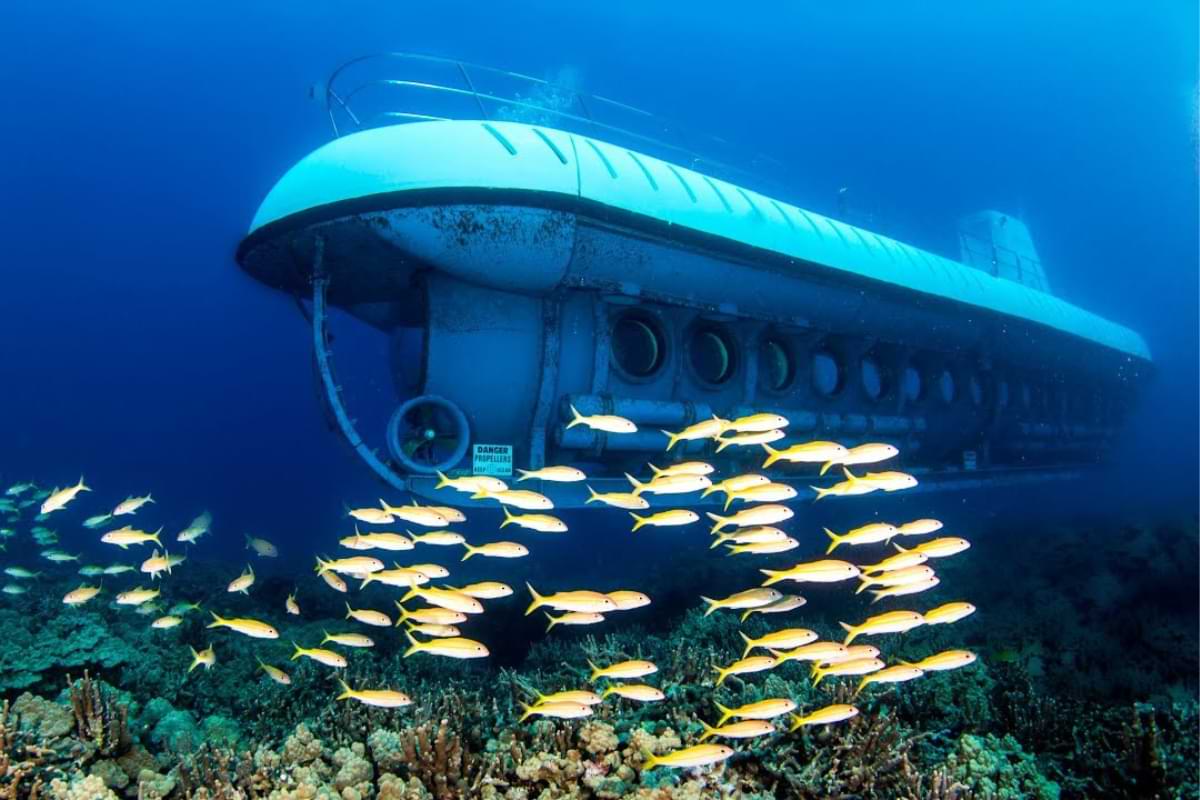if you're visiting oahu, then take a waikiki submarine tour