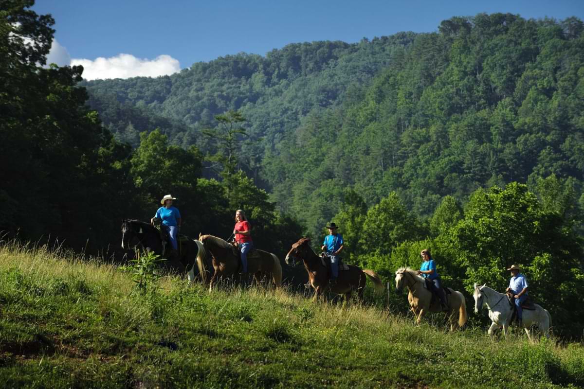 take a horseback riding trail ride in the smoky mountains