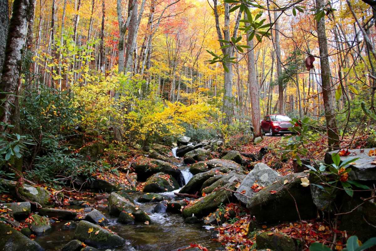 roaring fork motor nature trail is a required thing to do in the smoky mountains