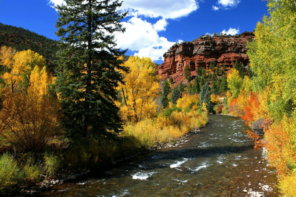 visiting the San Miguel River is a popular thing to do in Telluride
