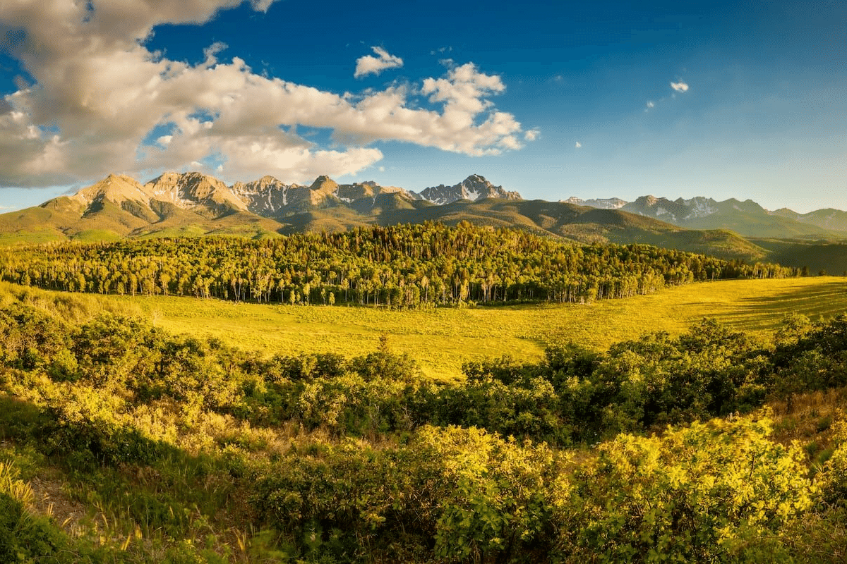 Uncompahgre National Forest is a popular thing to do in Telluride