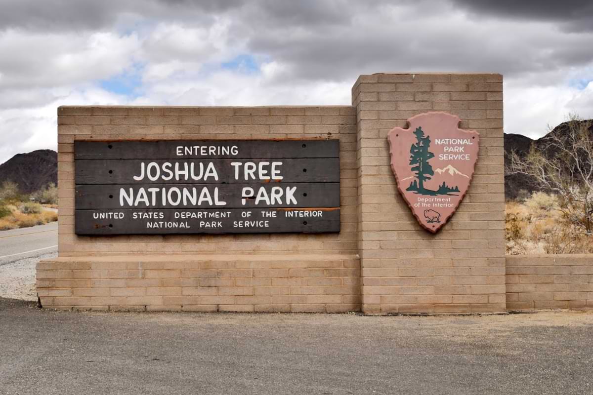 visiting cottonwood visitor center is a must-see thing to do in joshua tree