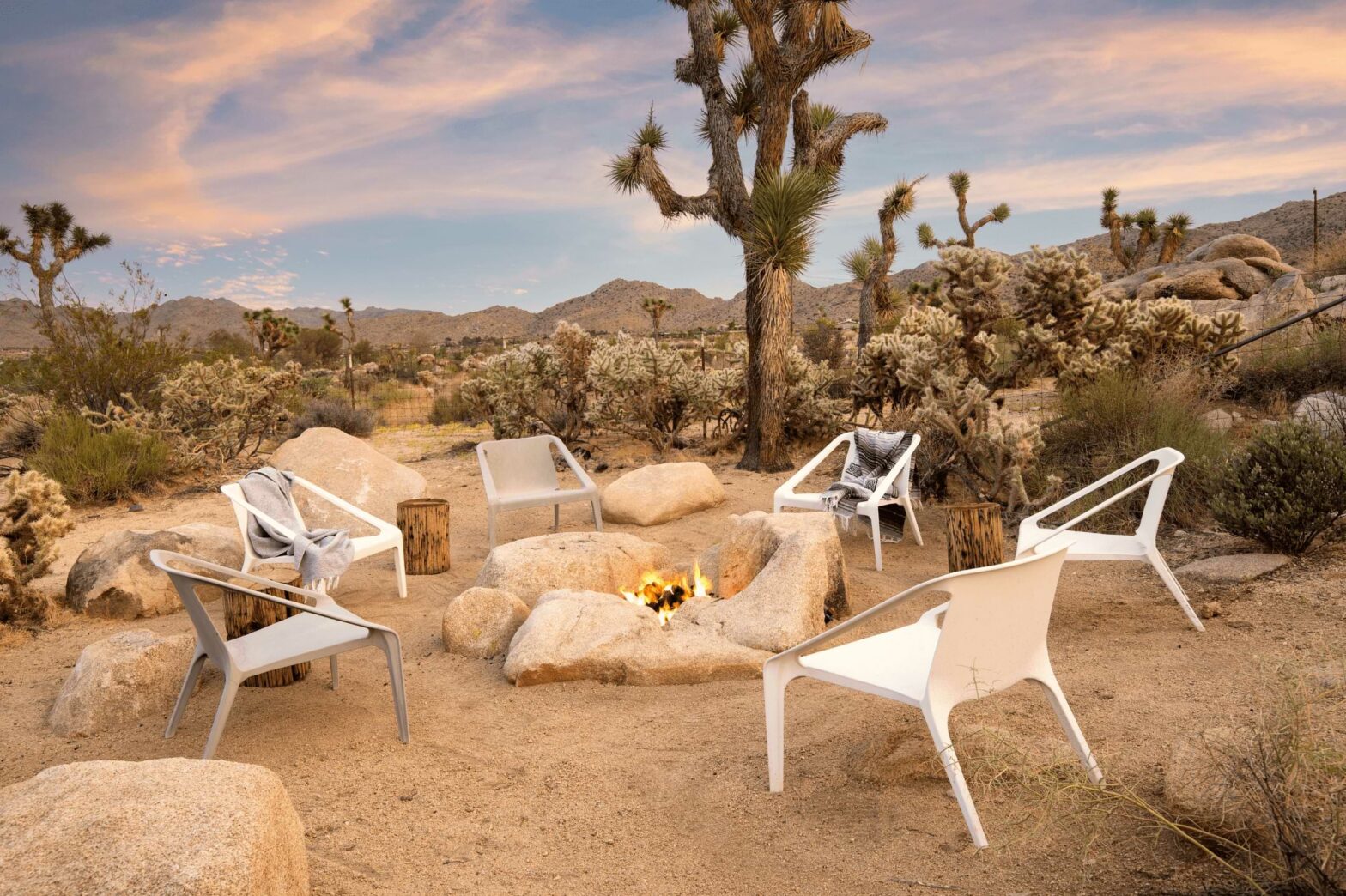 there are a number of things to do in joshua tree