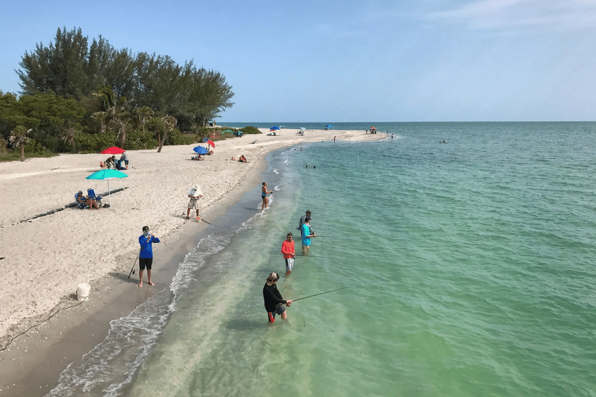 people fishing at Tarpon Bay Beach