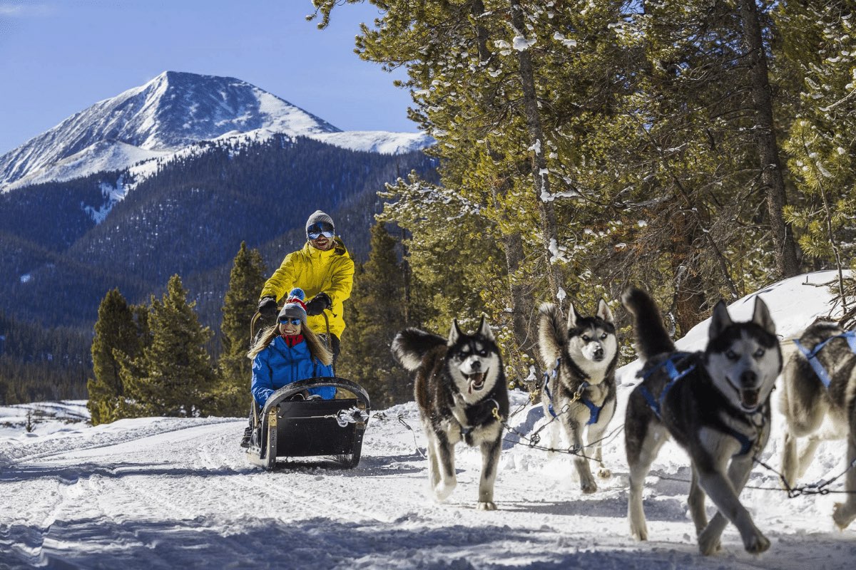 Siberian Huskies pull a couple on a dog sled with a Breckenridge mountain range in the back