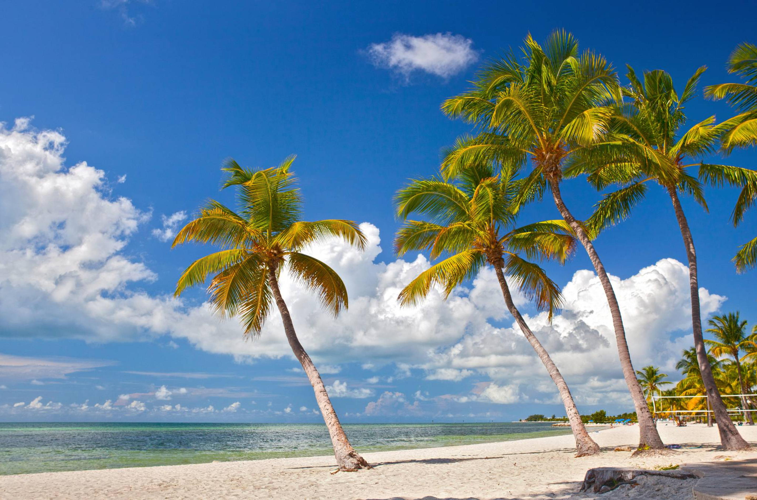 Best Time to Visit Key West [Updated June 2026] - AvantStay