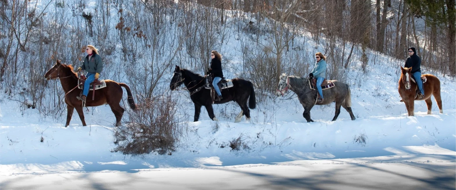 4 different colored horses trecking a snowy path with 4 women riding on it