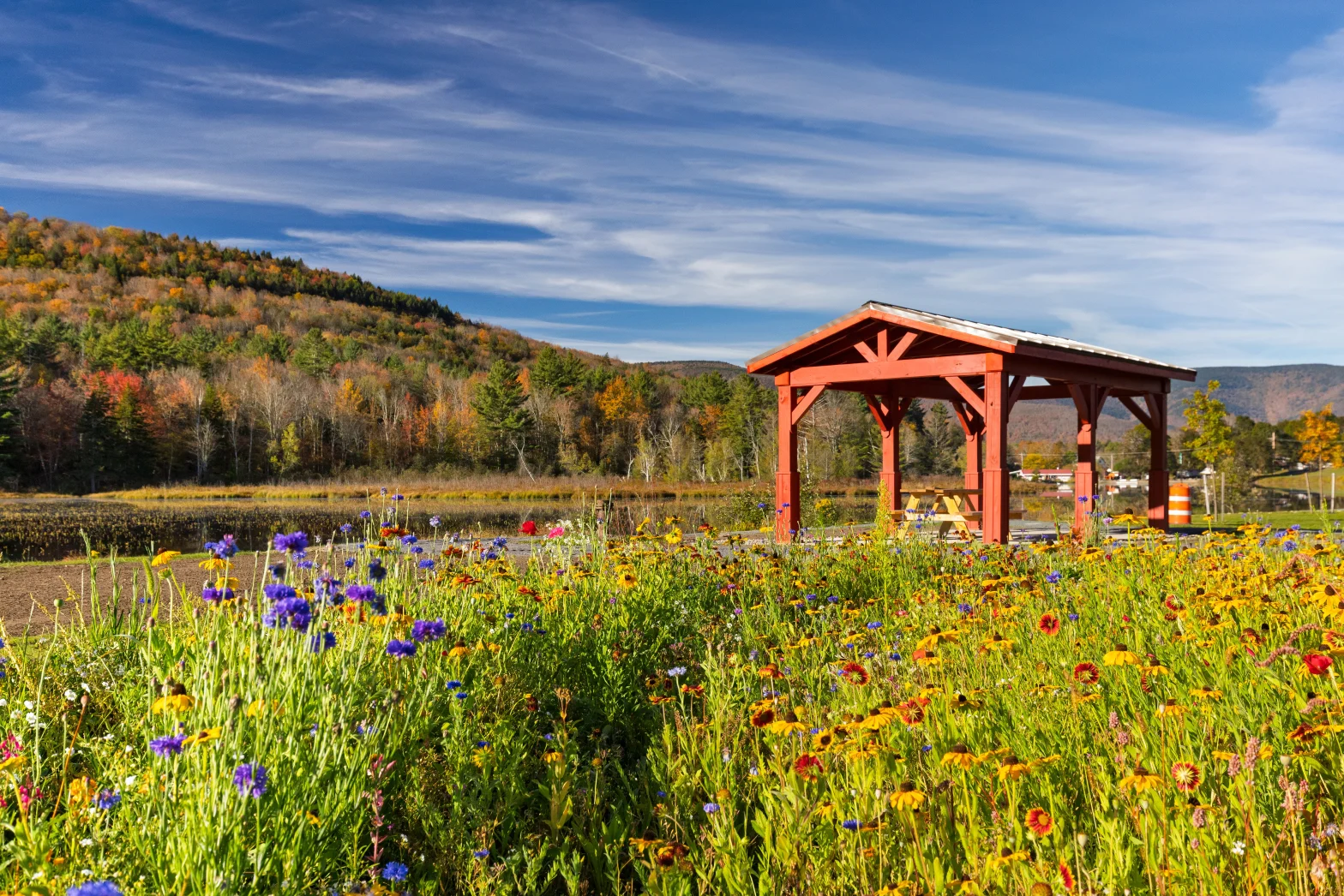 dreamy field of flowers and grass by the lake in a full spring weather