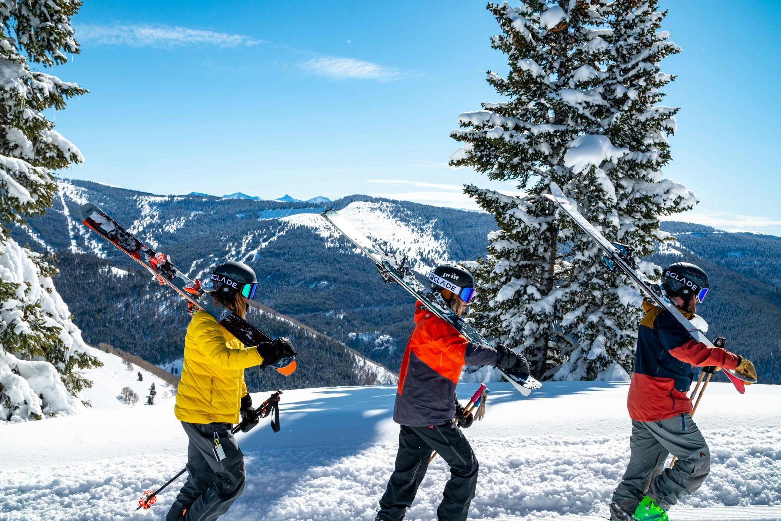3 mountain hikers carrying their ski equipments walking at the top of a snowy trail with pine trees